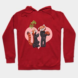 red pandas in love Hoodie